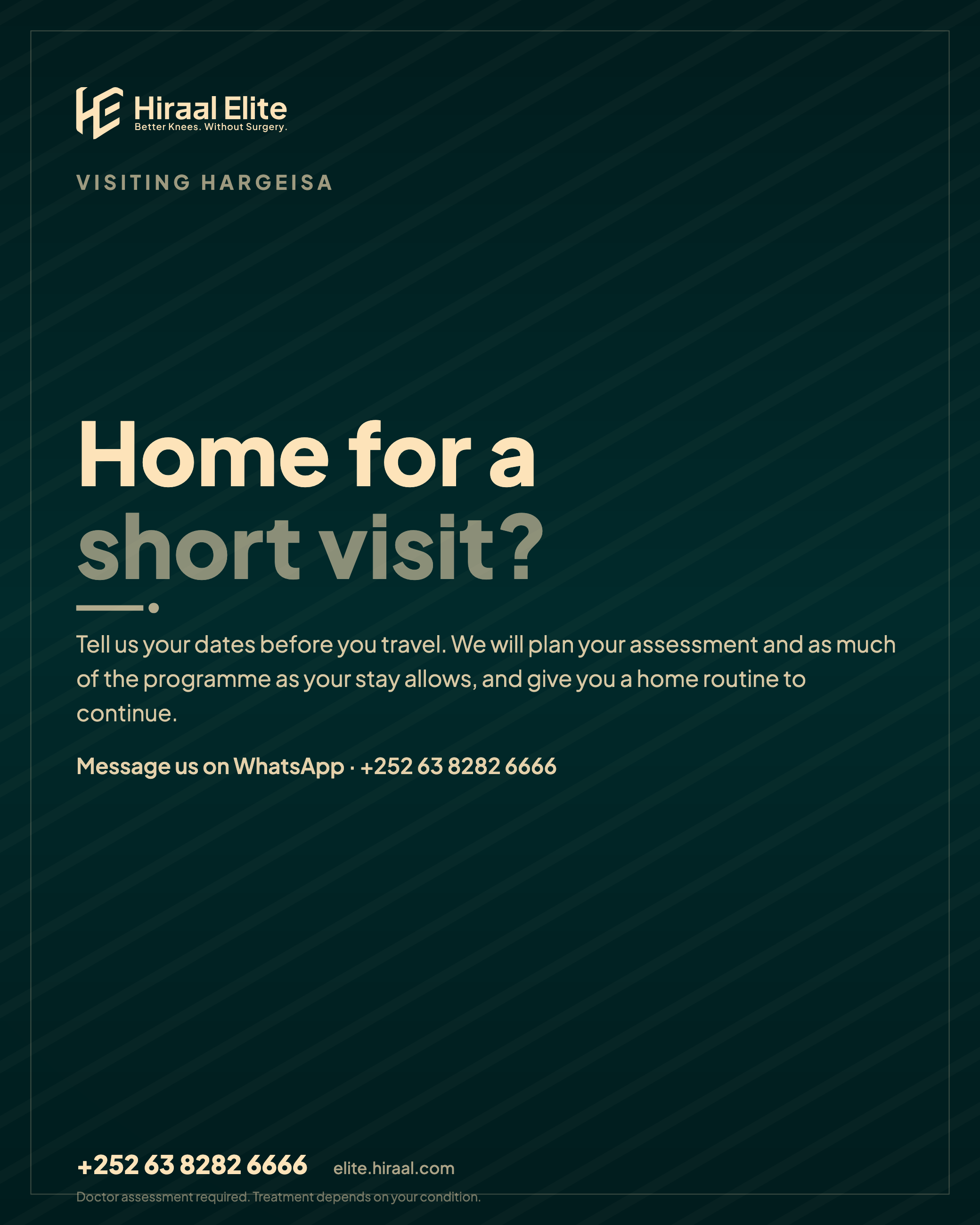Diaspora Visit