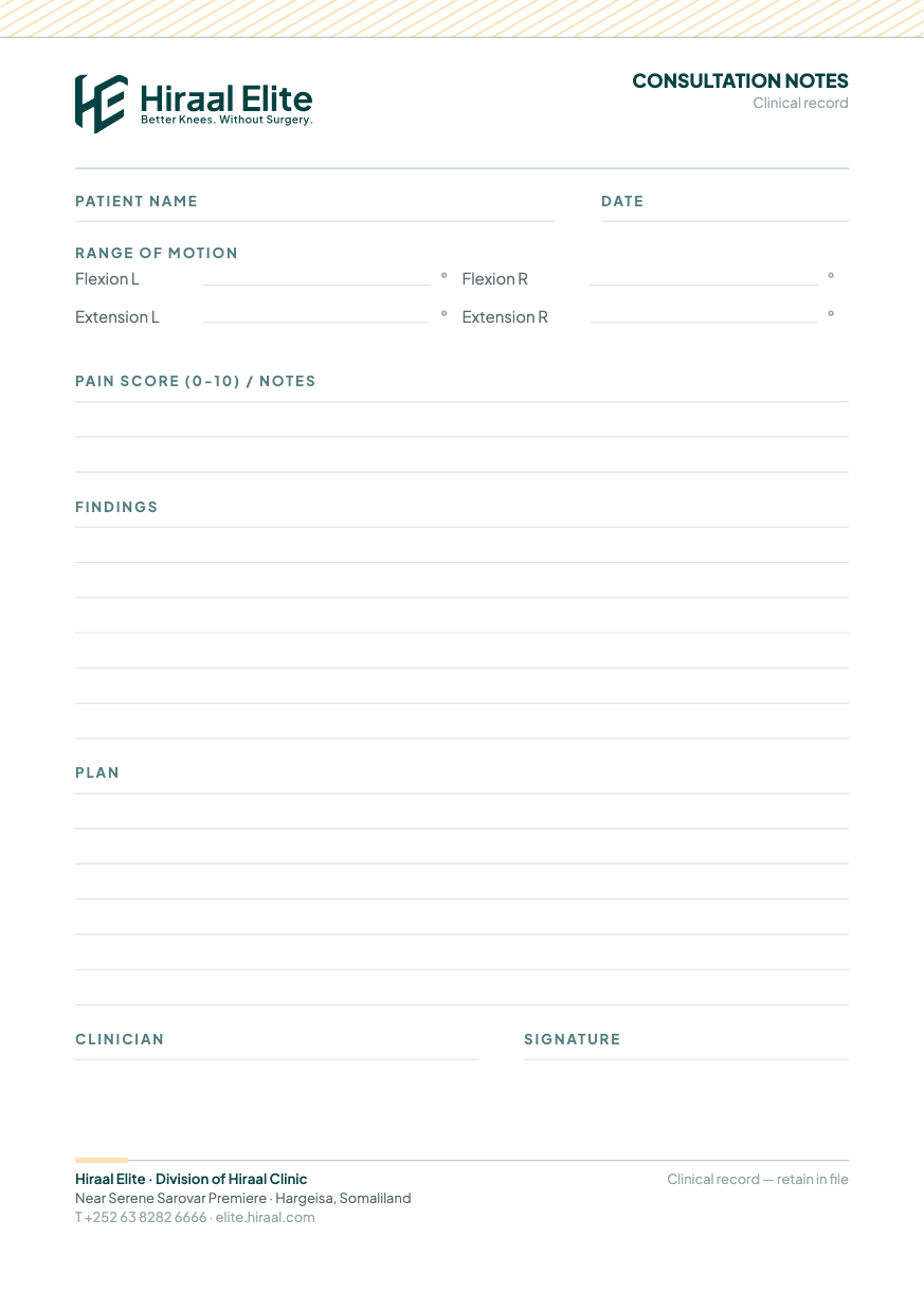 Consultation Notes